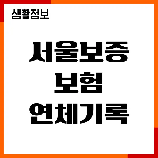 서울보증보험 연체기록 삭제, 신용점수 회복, 채무확인