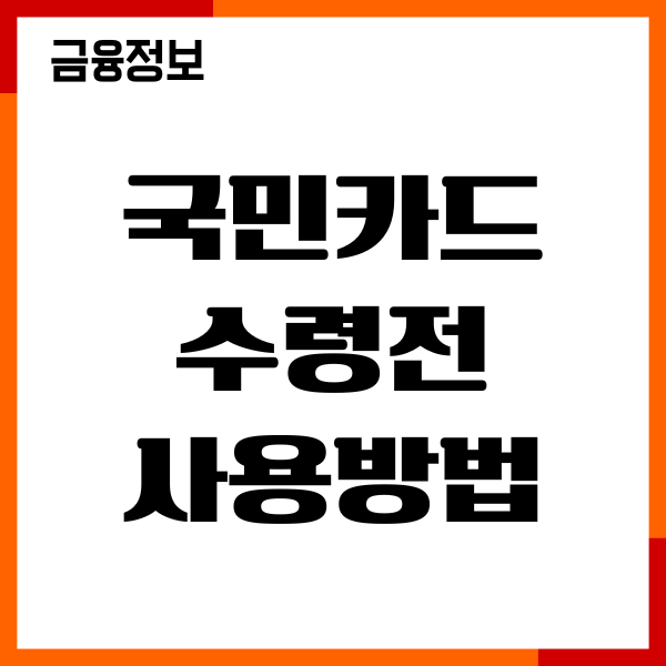 국민카드 수령 전 사용방법, 사용 등록, 신속발급 서비스