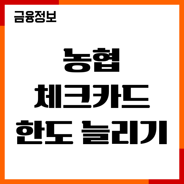 농협 체크카드 한도 늘리기 방법, 한도 상향, 절차, 기간